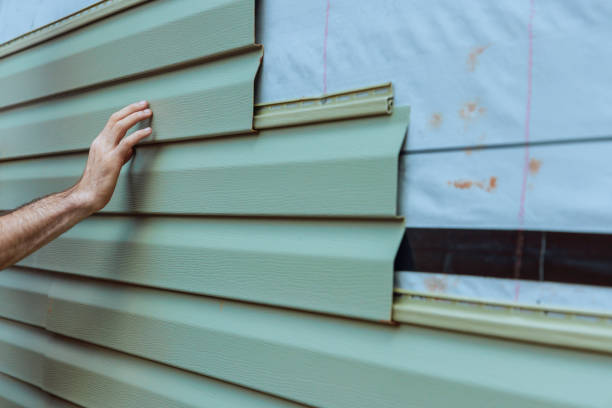 Best Siding Painting and Refinishing  in Kapn, LA